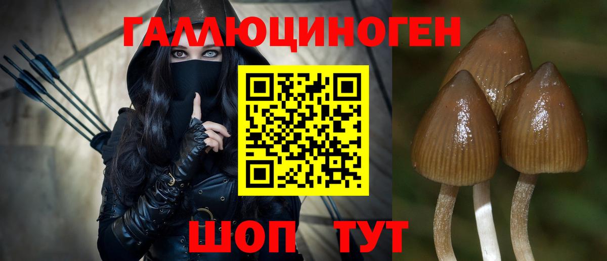 Псилоцибиновые грибы Cubensis Сертолово
